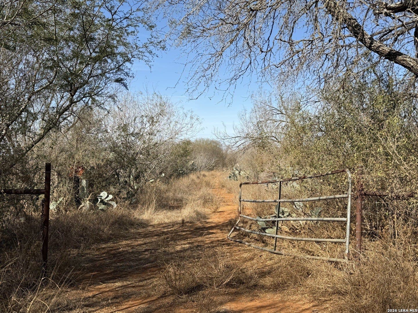 20 acres in Frio County - photo 35