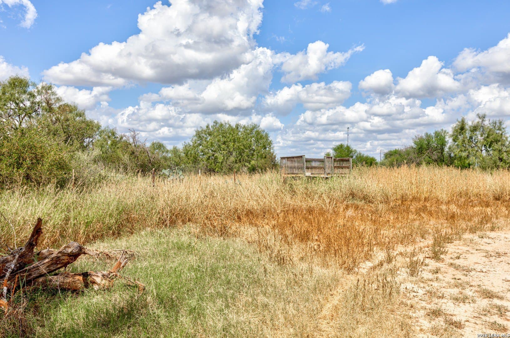 20 acres in Frio County - photo 14