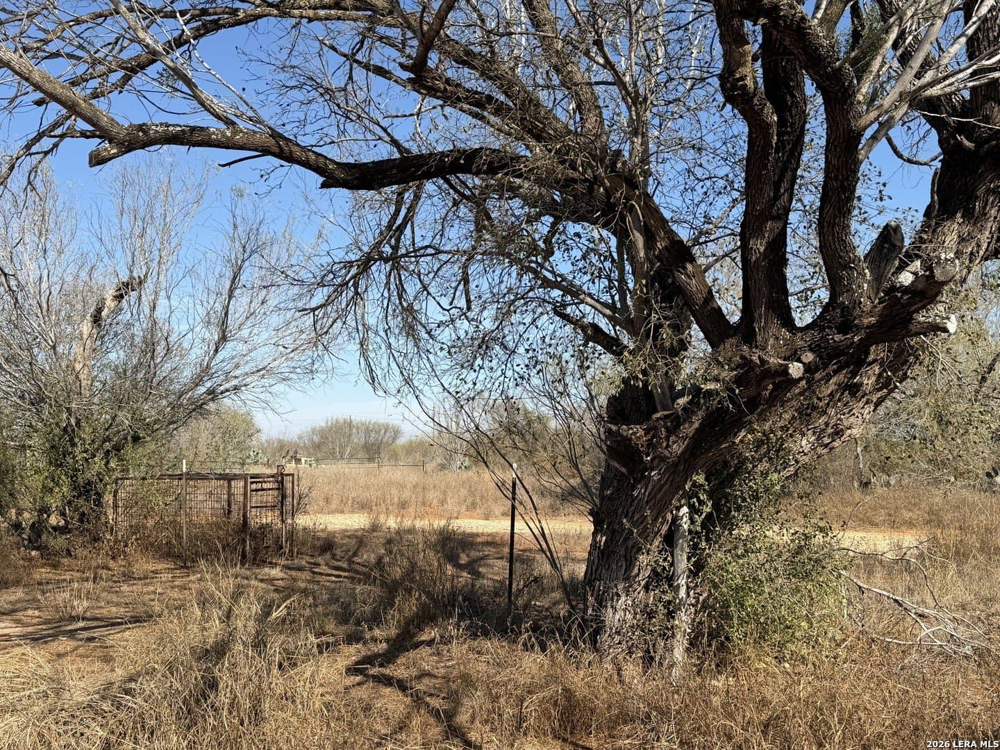 20 acres in Frio County - photo 31