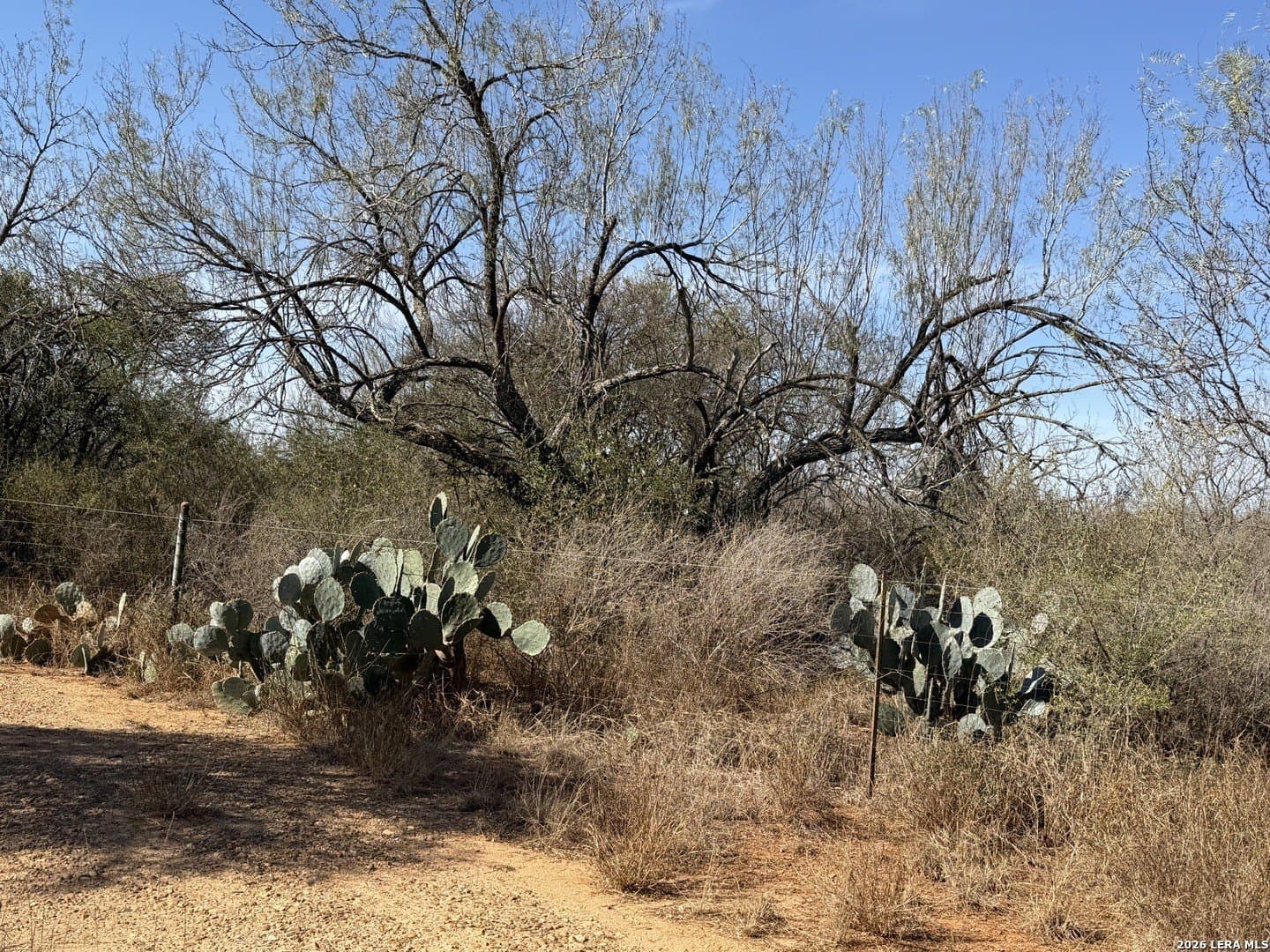 20 acres in Frio County - photo 34