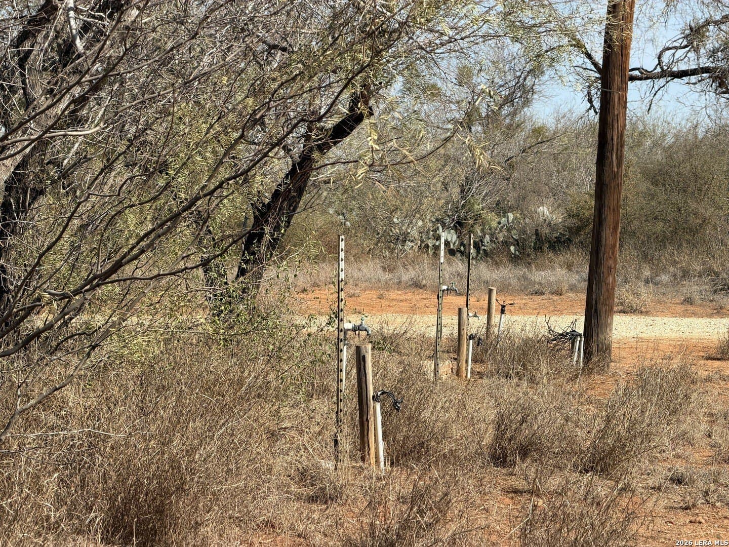 20 acres in Frio County - photo 29