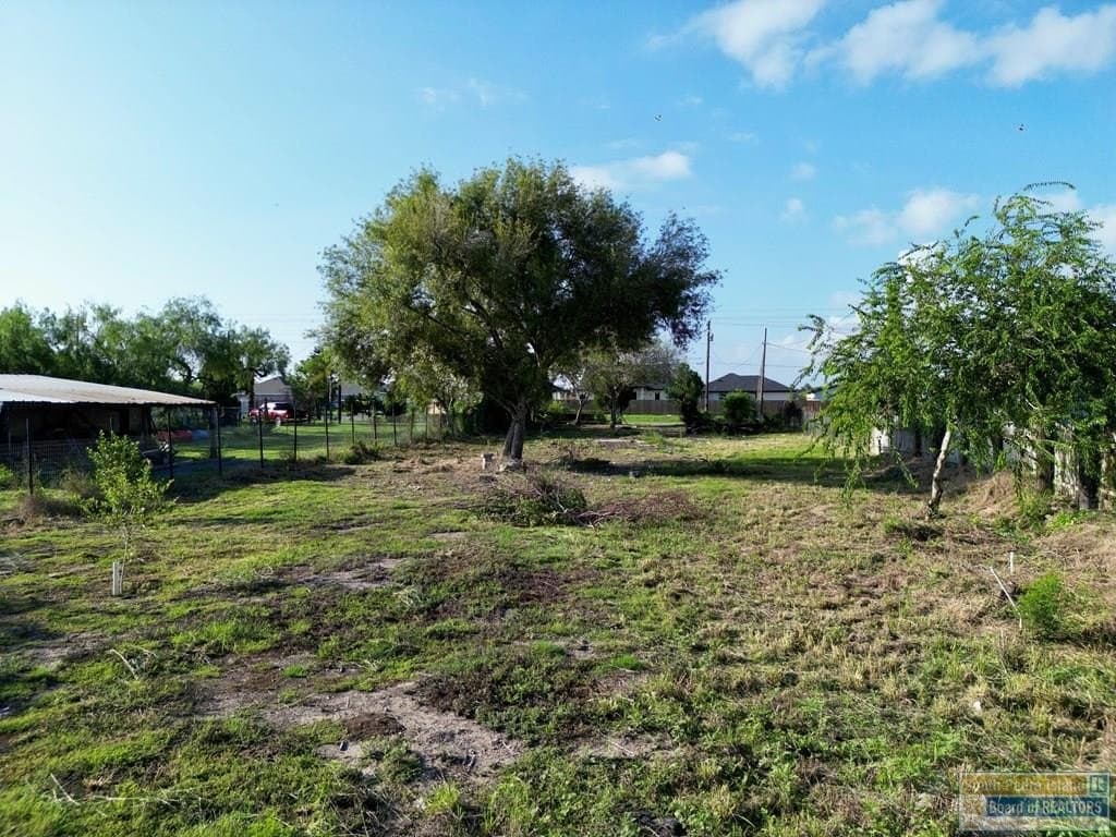 0 acres in Cameron County - photo 4