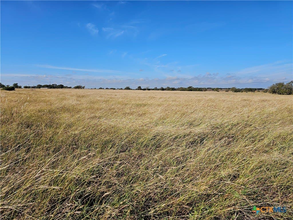 46.5 acres in Coryell County - photo 22