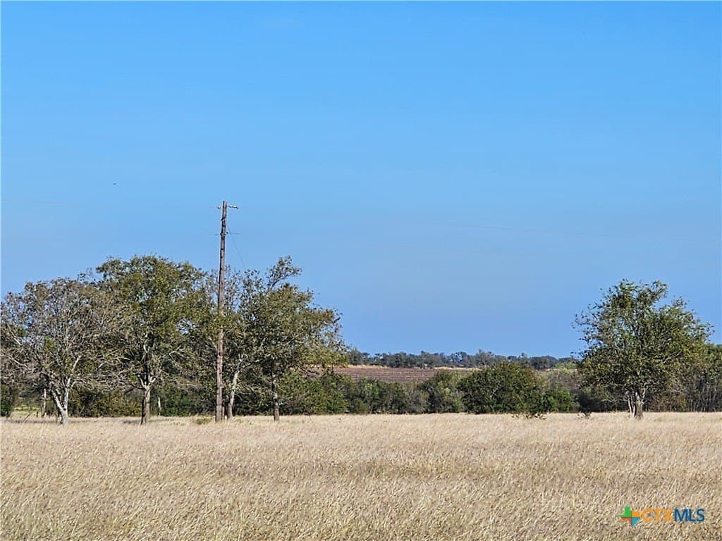46.5 acres in Coryell County - photo 5