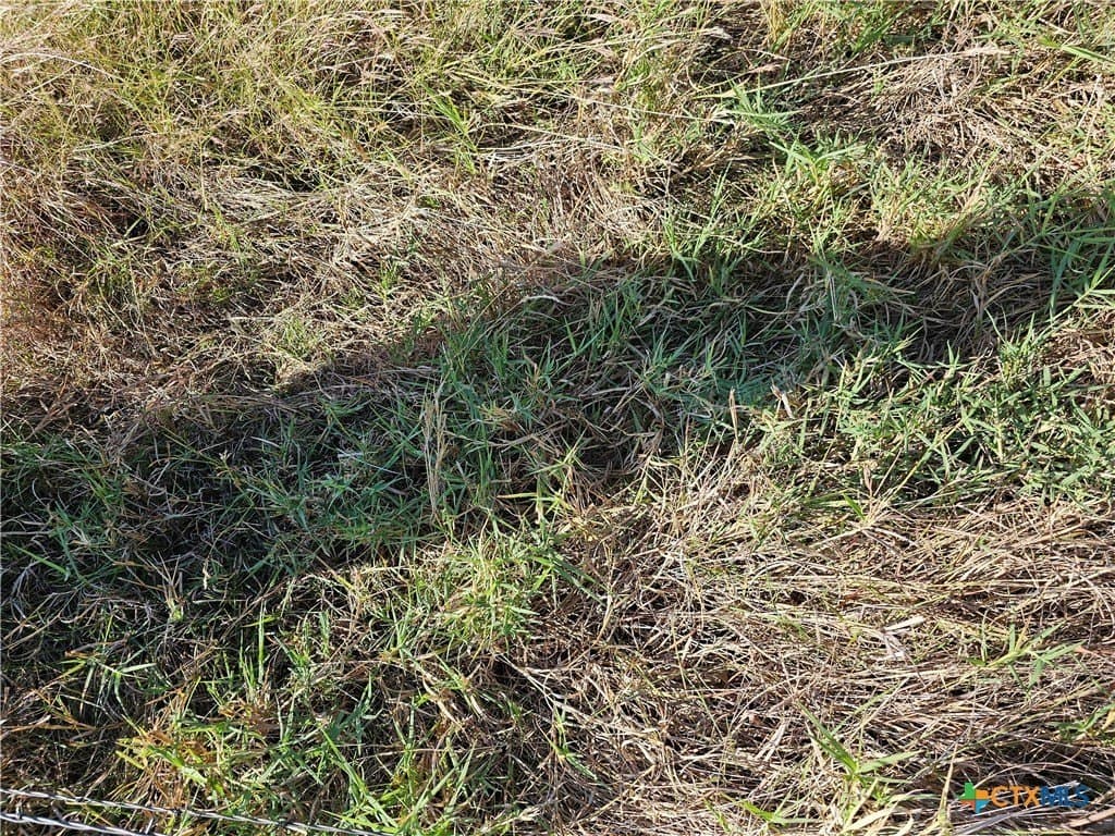 46.5 acres in Coryell County - photo 21