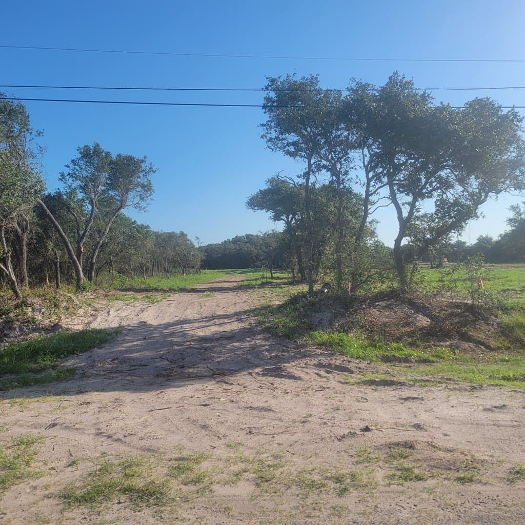0 acres in Texas County - photo 2