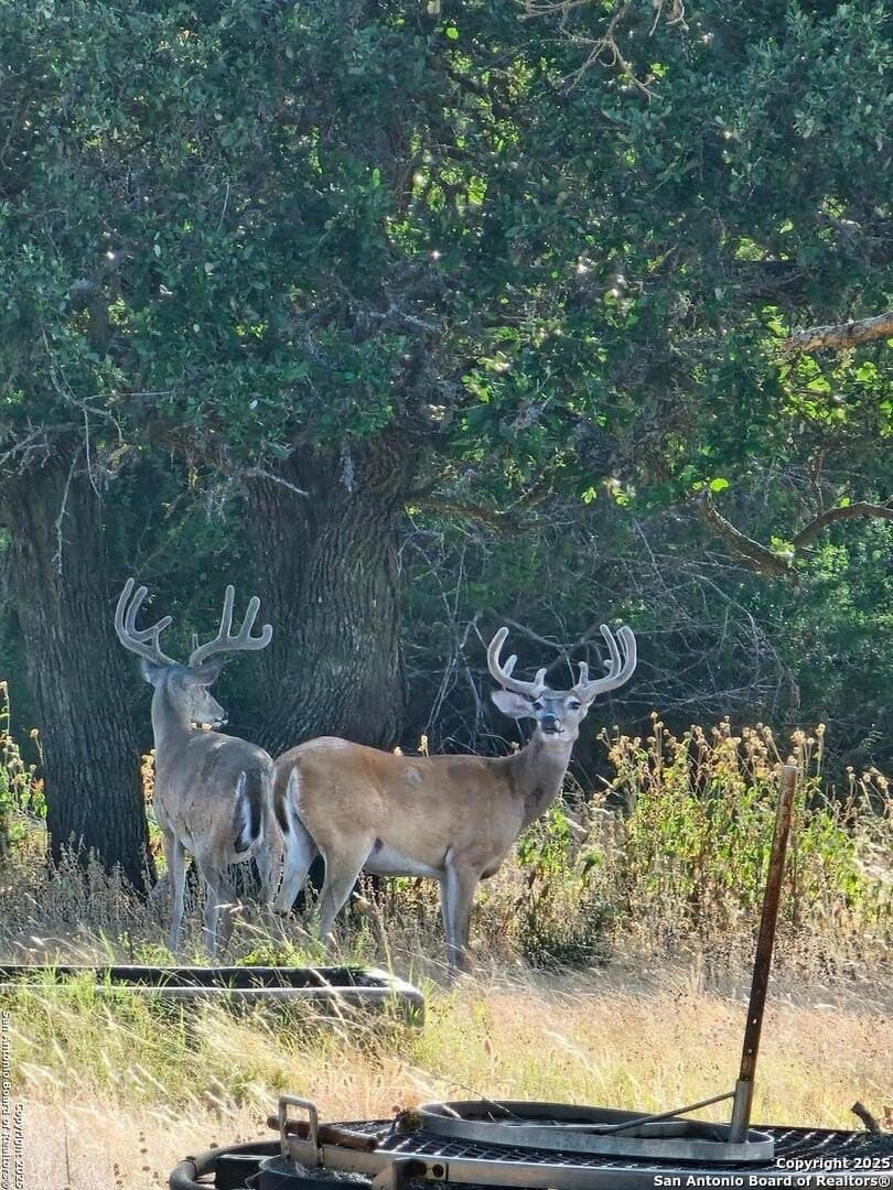 59.42 acres in Edwards County - photo 4