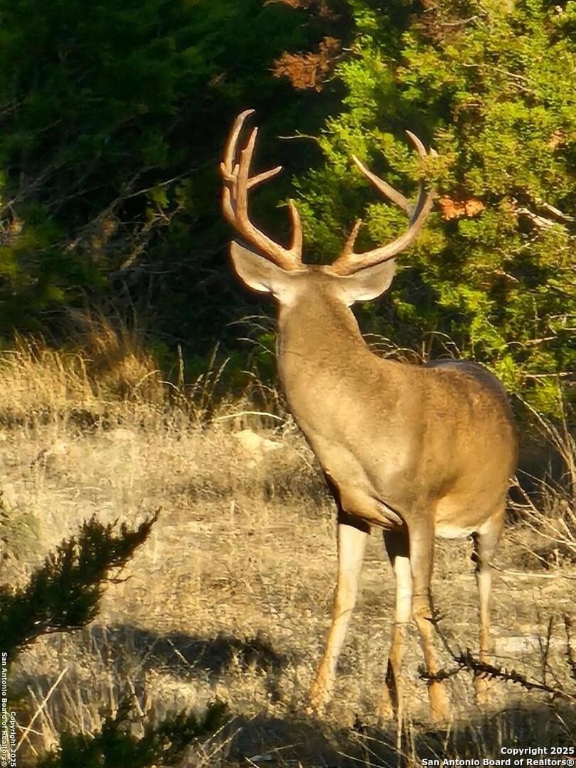 59.42 acres in Edwards County - photo 6