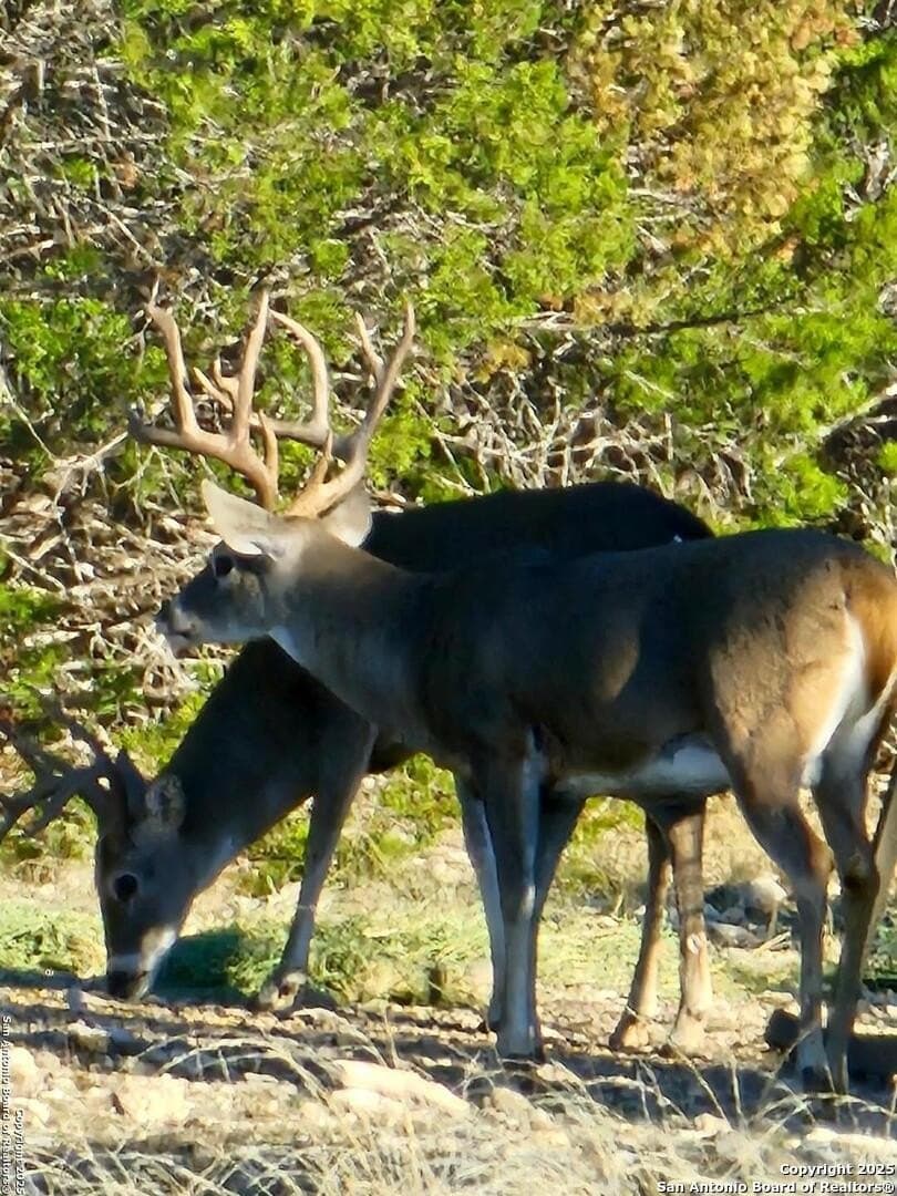 59.42 acres in Edwards County - photo 5