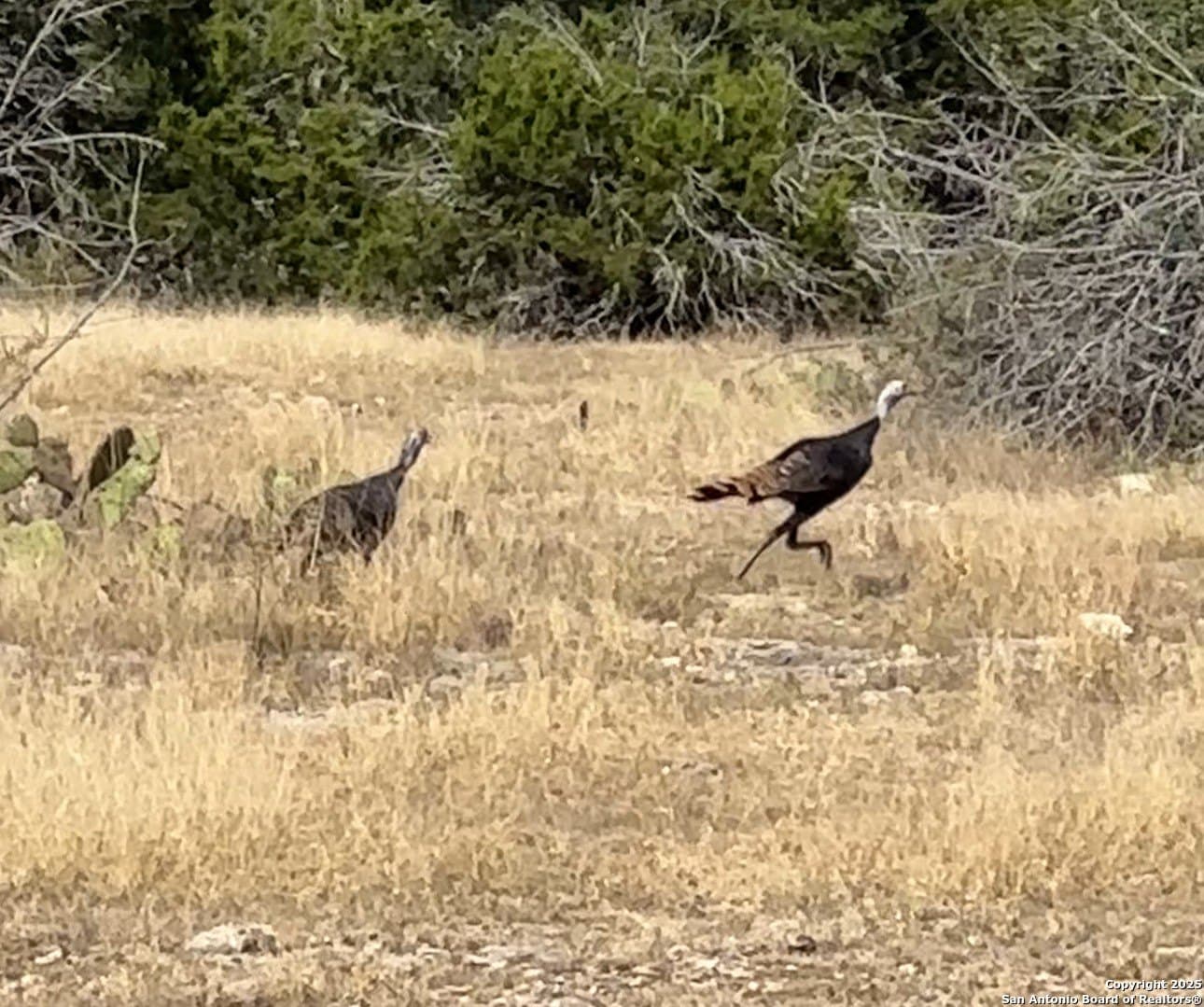 59.42 acres in Edwards County - photo 14