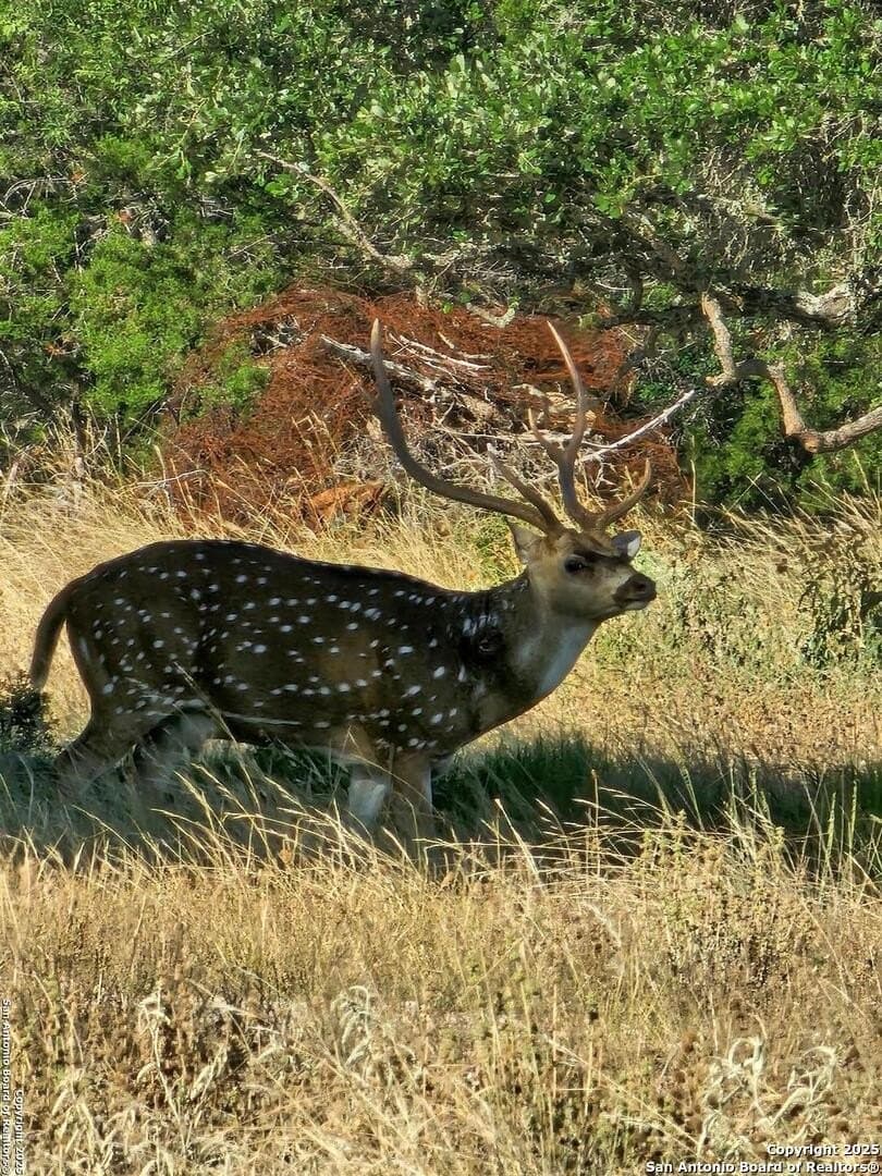 59.42 acres in Edwards County - photo 3