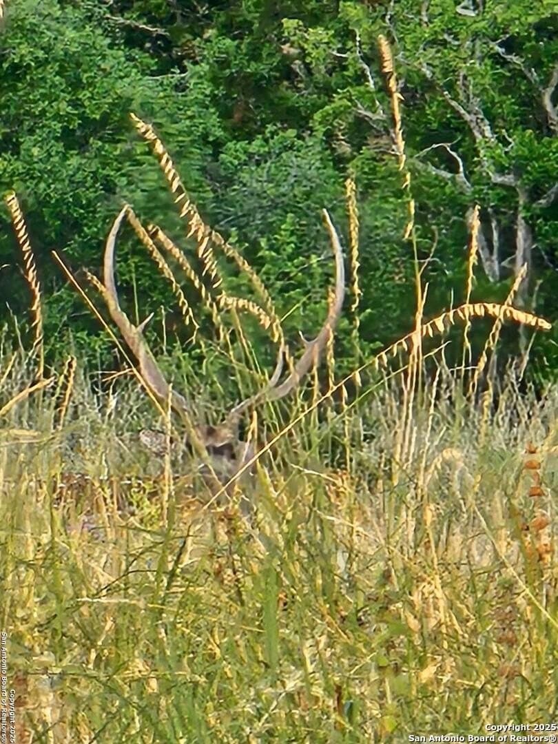 59.42 acres in Edwards County - photo 10
