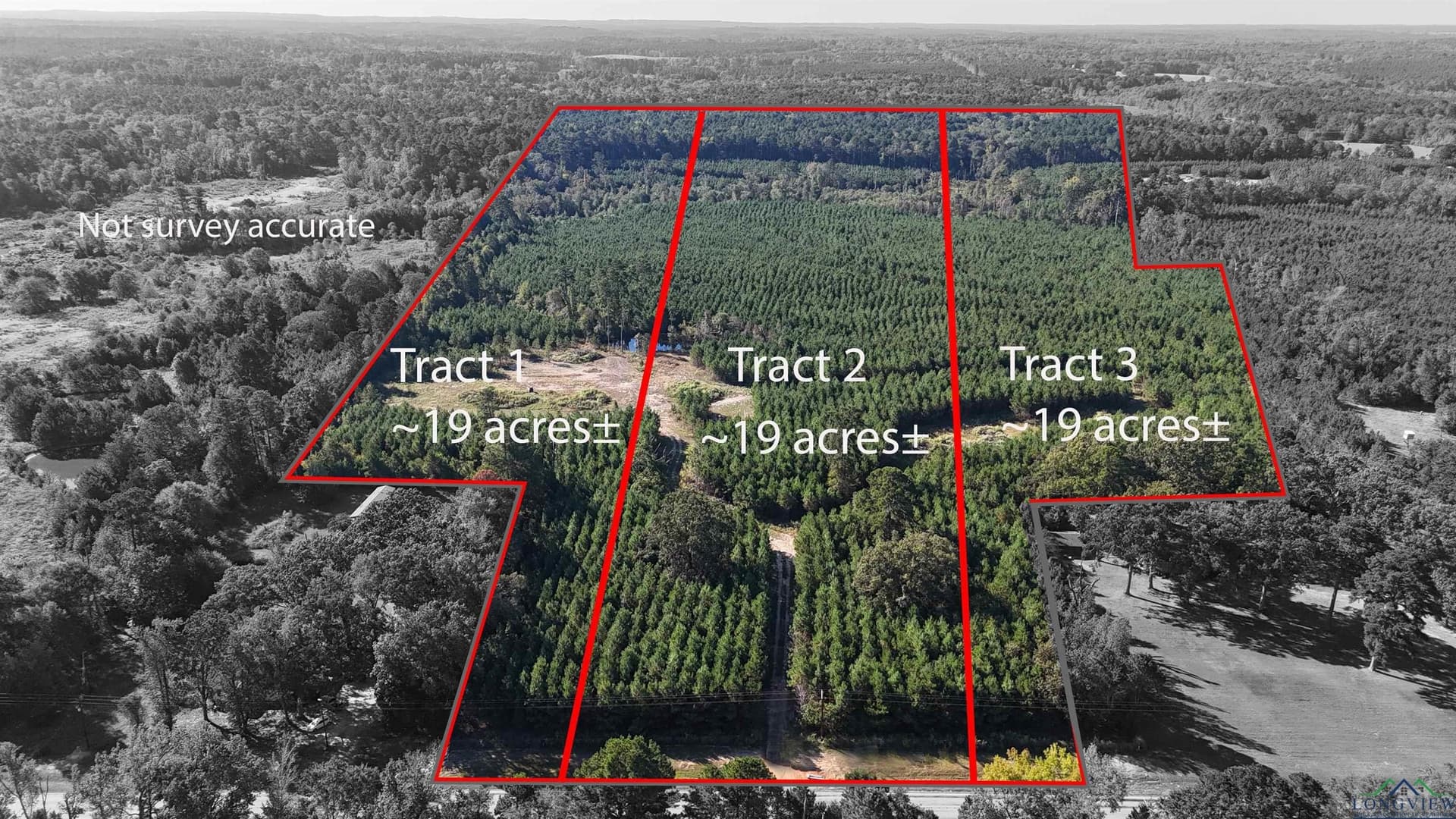 19.2 acres in Marion County - photo 4
