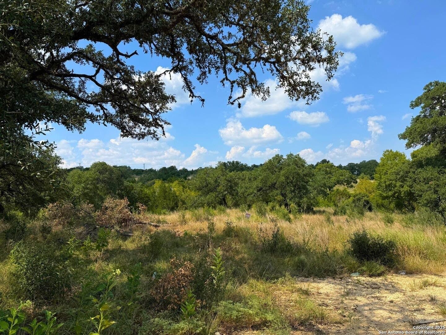 0.73 acres in Bexar County - photo 9
