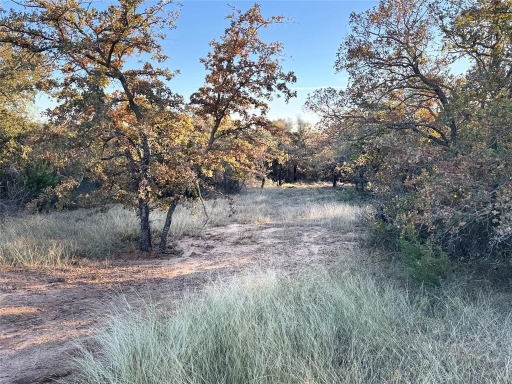 15 acres in Erath County - photo 5