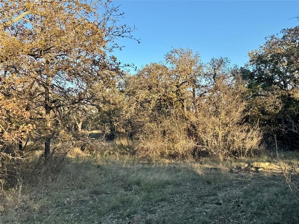 15 acres in Erath County - photo 9