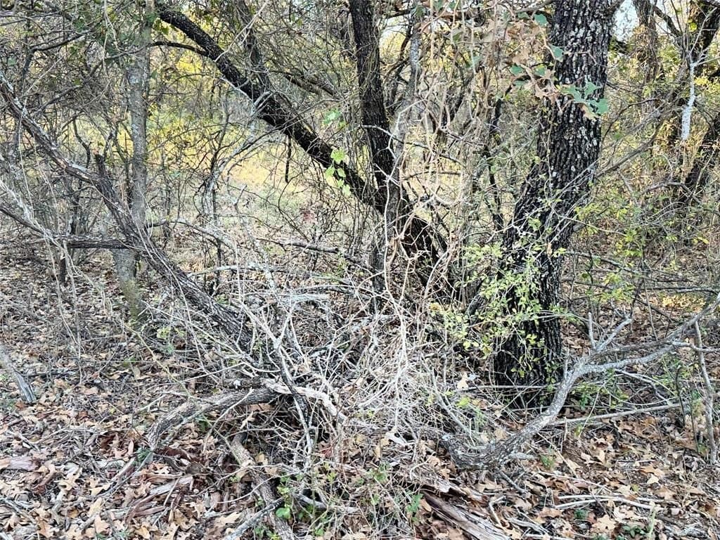 15 acres in Erath County - photo 12