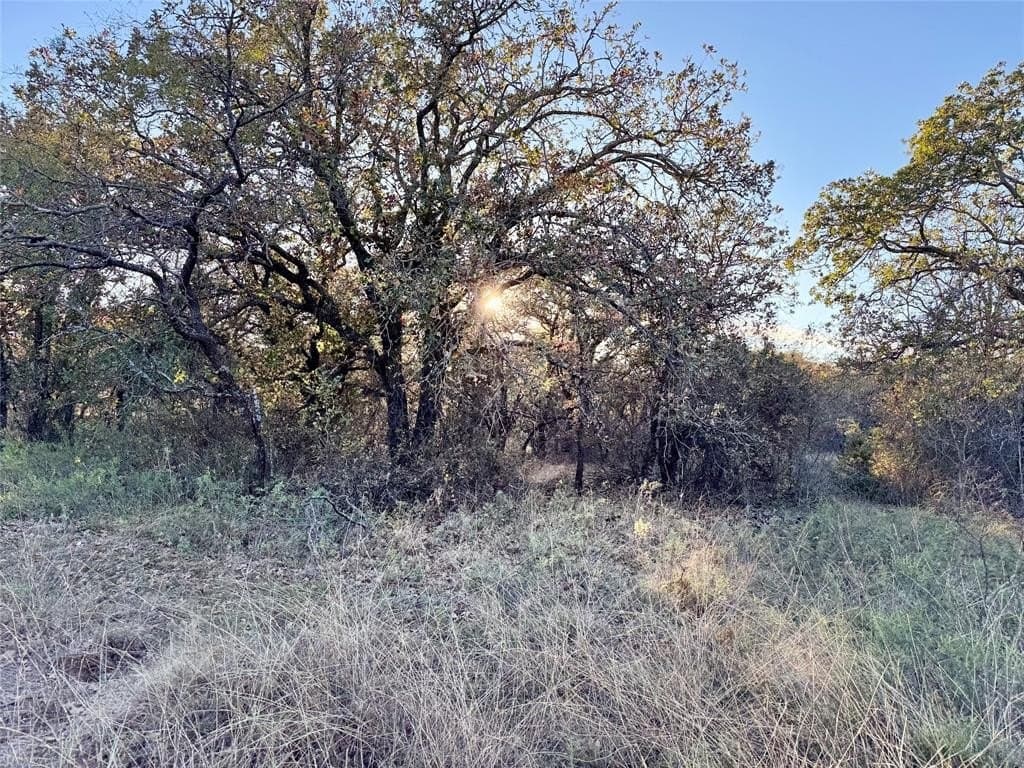 15 acres in Erath County - photo 13