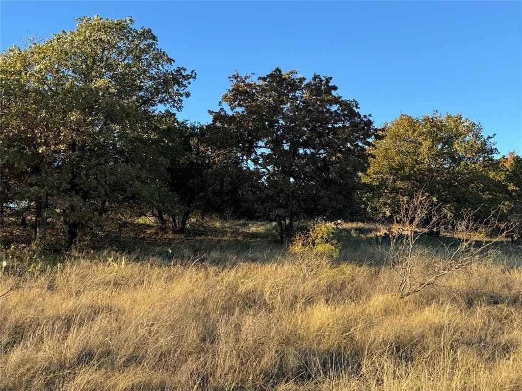 15 acres in Erath County - photo 4