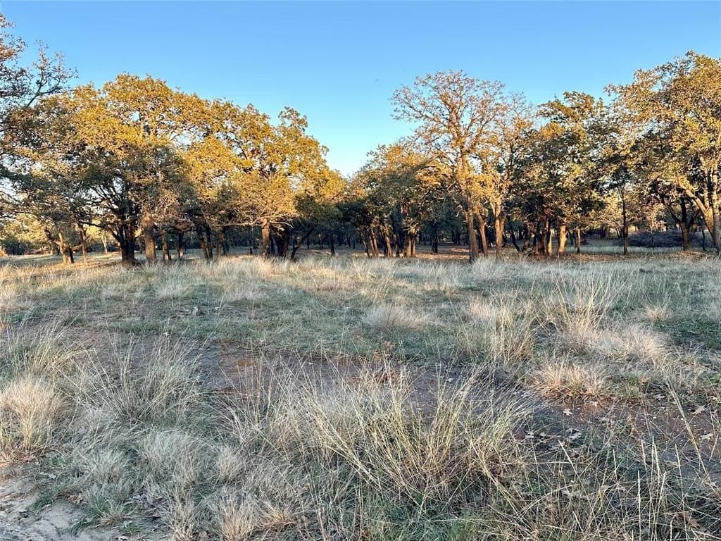 15 acres in Erath County - photo 11