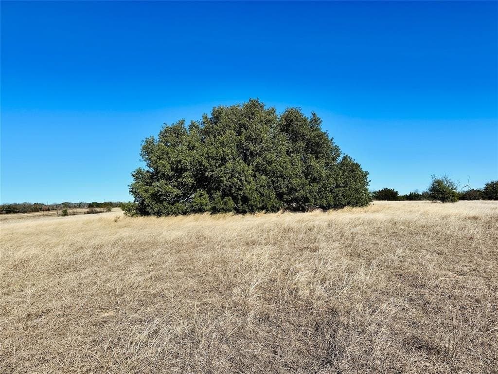 40.61 acres in Callahan County - photo 19