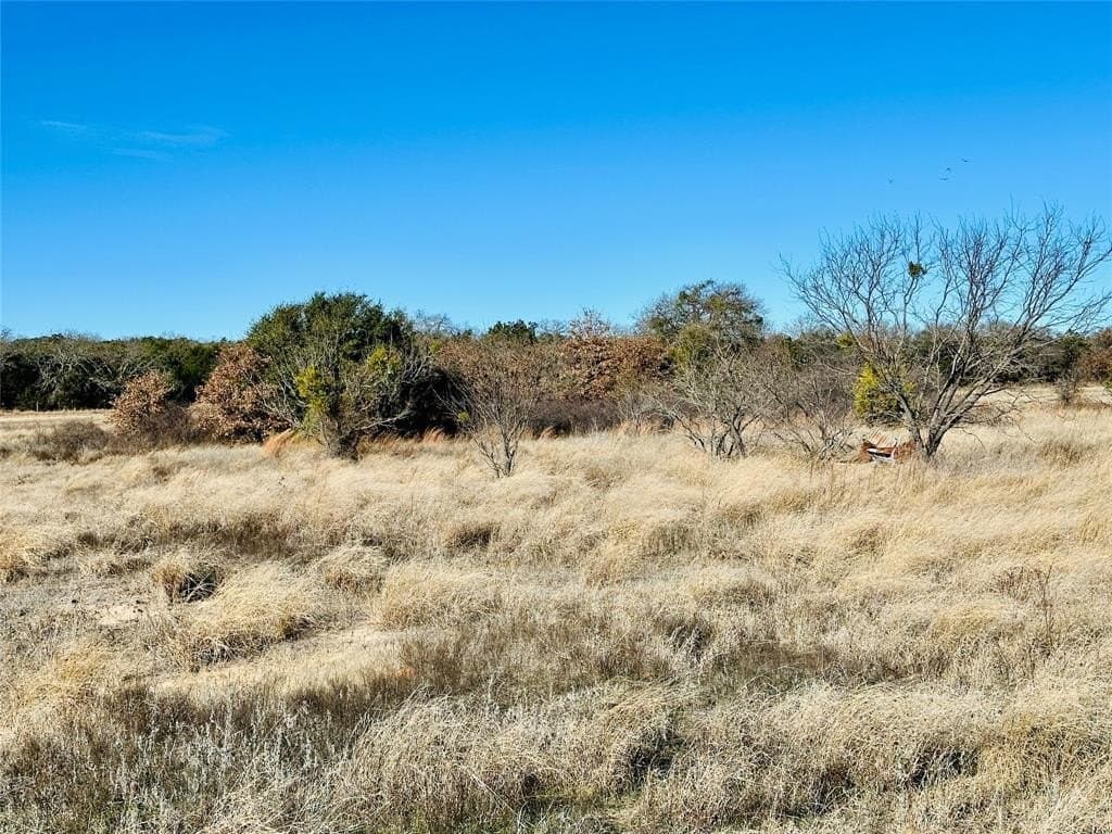 40.61 acres in Callahan County - photo 18