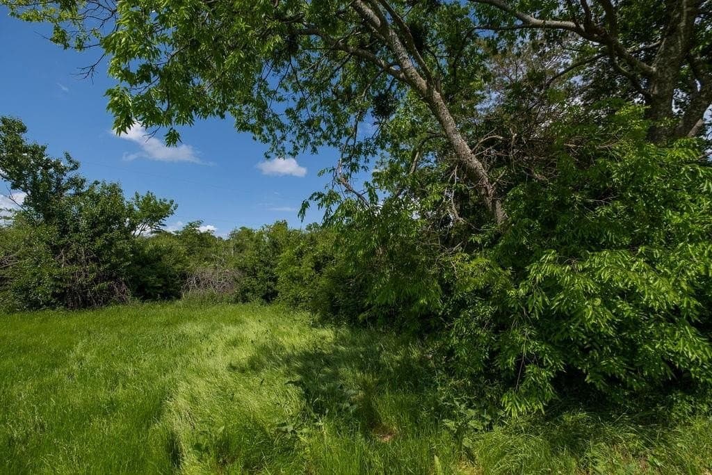 0.19 acres in Kaufman County - photo 2