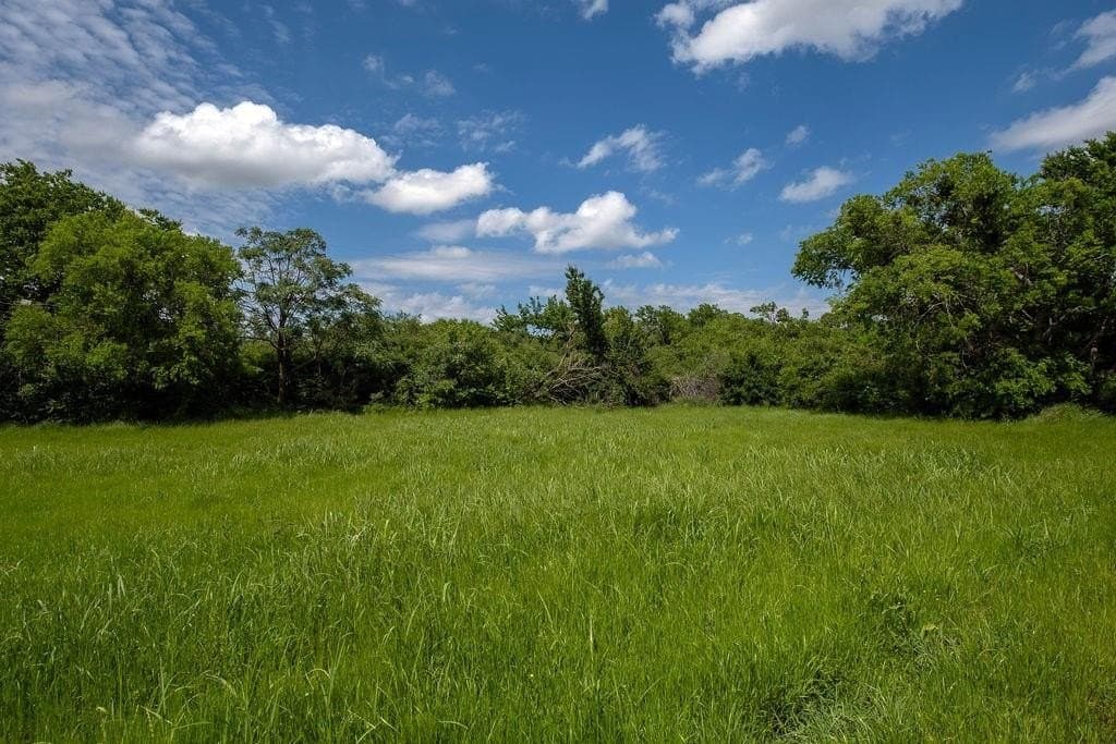 0.19 acres in Kaufman County - photo 7