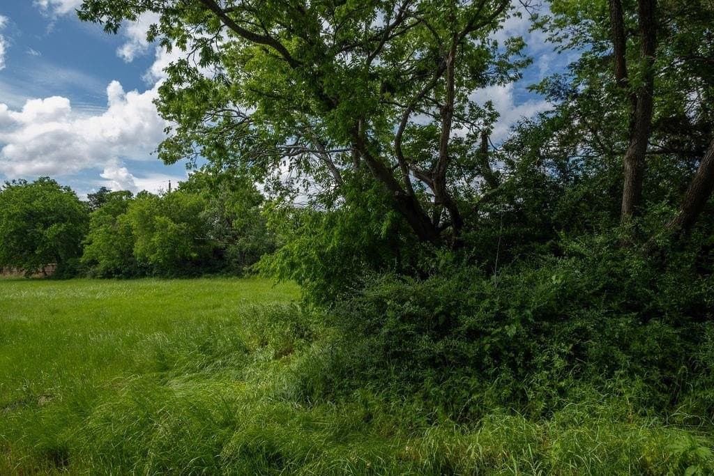 0.19 acres in Kaufman County - photo 4