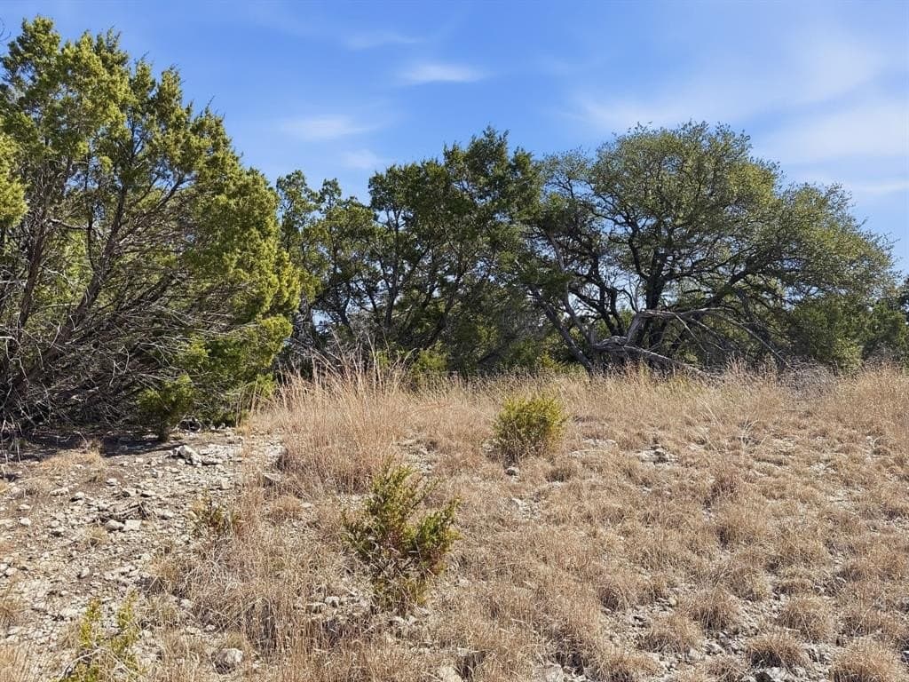 10.01 acres in Coryell County - photo 18