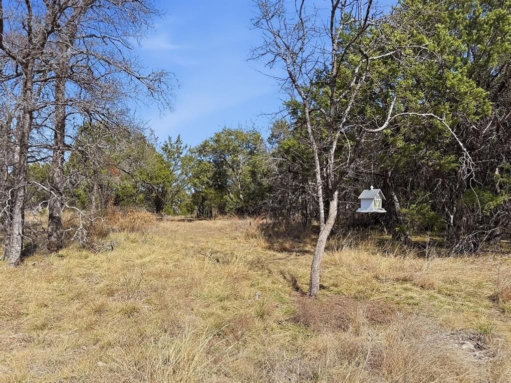 10.01 acres in Coryell County - photo 11