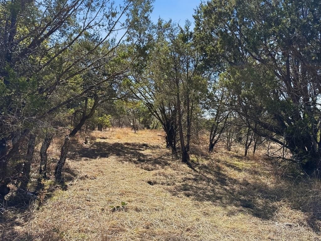 10.01 acres in Coryell County - photo 8