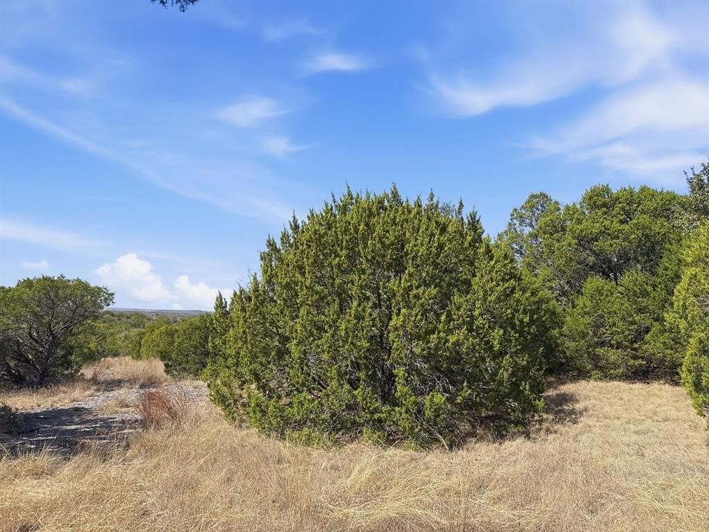 10.01 acres in Coryell County - photo 23
