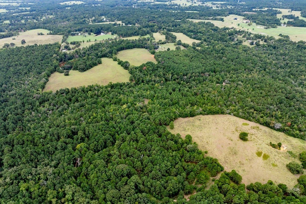22.66 acres in HOUSTON County - photo 13