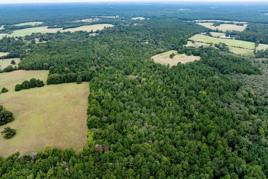 22.66 acres in HOUSTON County - photo 8