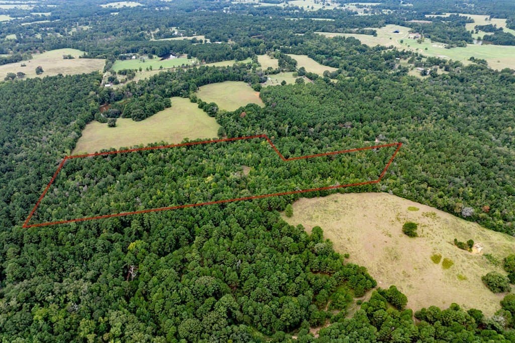 22.66 acres in HOUSTON County - photo 12