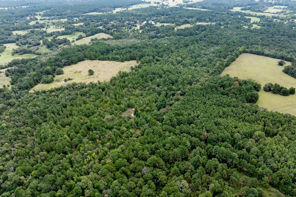 22.66 acres in HOUSTON County - photo 21