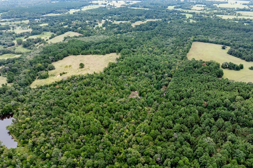 22.66 acres in HOUSTON County - photo 19