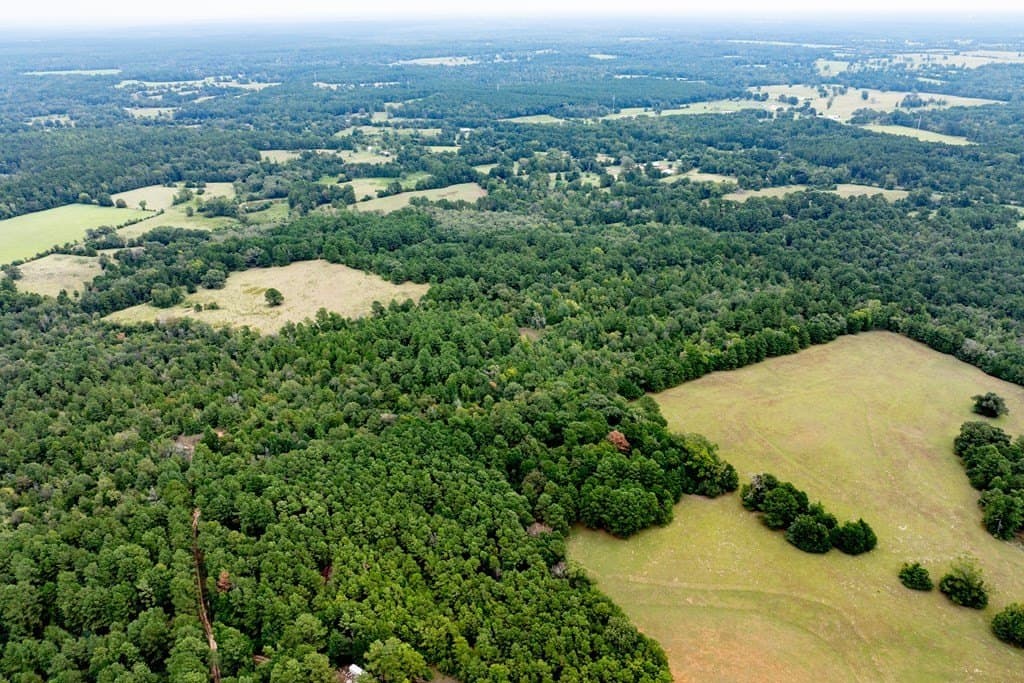 22.66 acres in HOUSTON County - photo 2