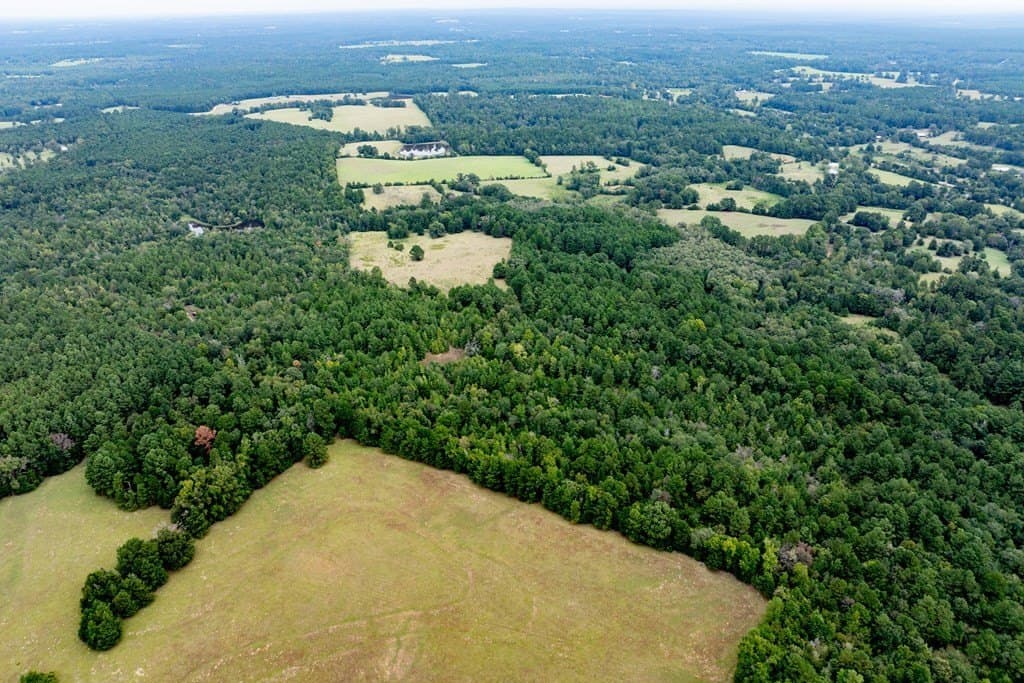 22.66 acres in HOUSTON County - photo 5