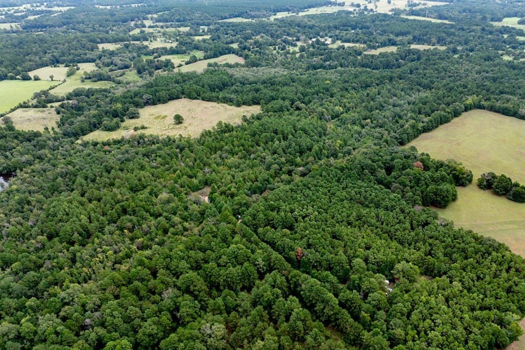 22.66 acres in HOUSTON County - photo 22
