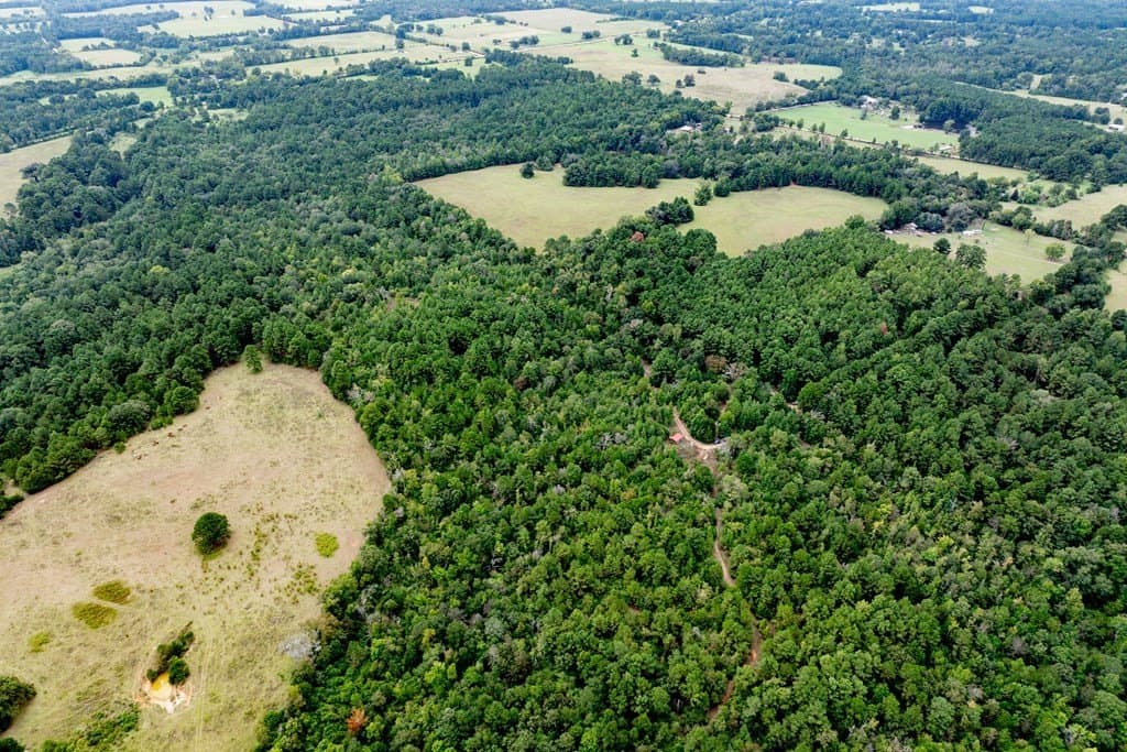 22.66 acres in HOUSTON County - photo 17