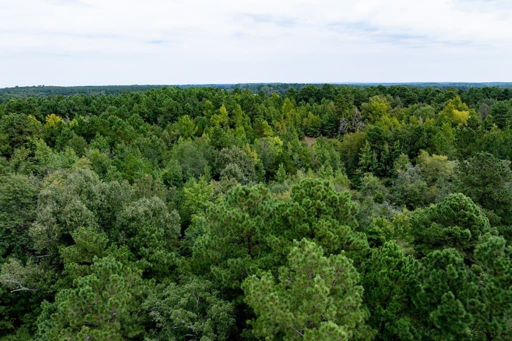 22.66 acres in HOUSTON County - photo 23