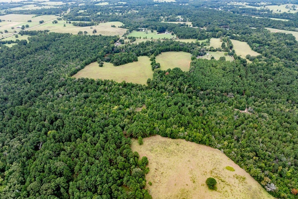 22.66 acres in HOUSTON County - photo 14