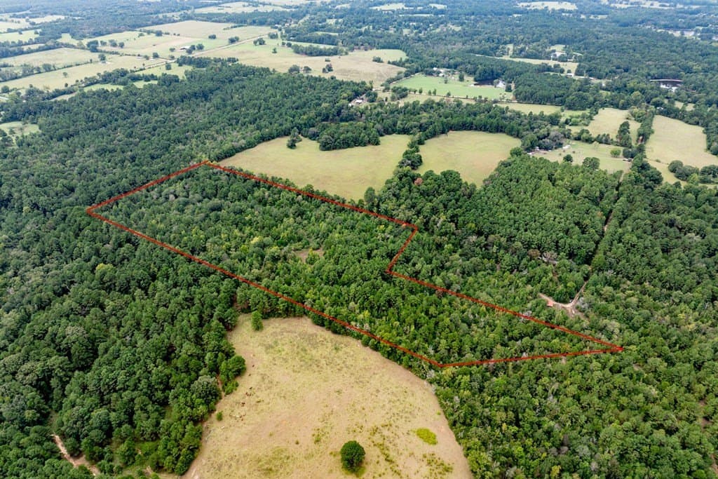 22.66 acres in HOUSTON County - photo 15