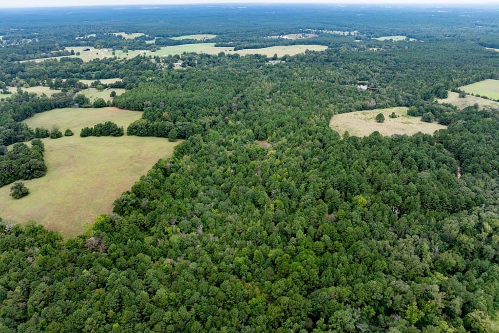 22.66 acres in HOUSTON County - photo 9