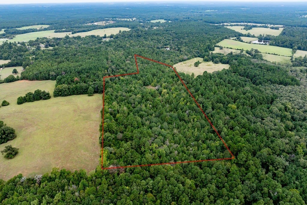 22.66 acres in HOUSTON County - photo 7