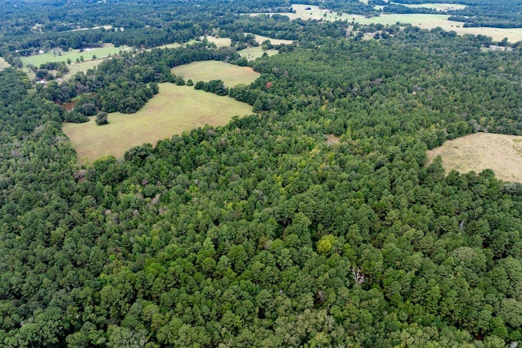 22.66 acres in HOUSTON County - photo 11