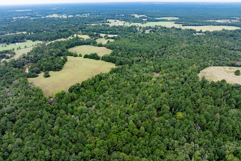 22.66 acres in HOUSTON County - photo 10