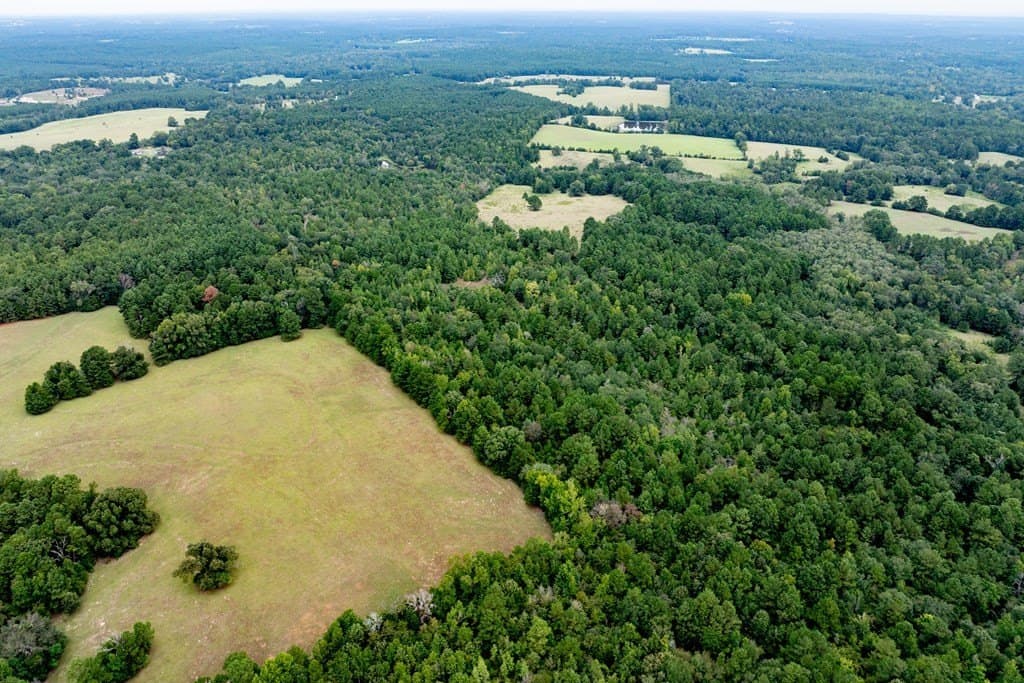 22.66 acres in HOUSTON County - photo 6